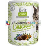 Brit Care Cat Snack Superfruits Chicken 100 g – Zboží Mobilmania