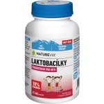 Swiss NatureVia Laktobacily třešňové 33 pastilek – Hledejceny.cz