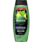 Radox Refreshment Menthol And Citrus 3-in-1 Shower Gel 450 ml – Hledejceny.cz