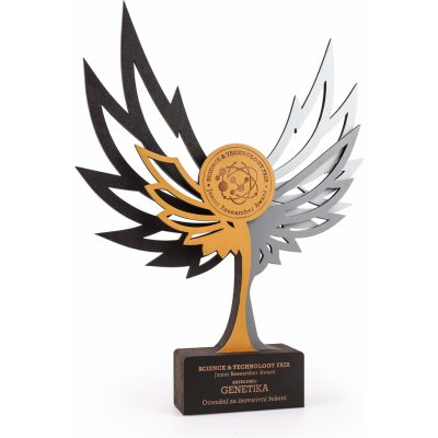 Trofej / pohár: Safir trofeje Safir: M 40 x 30 cm – Zboží Dáma