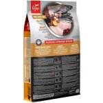 Orijen Dog Puppy 6 kg – Sleviste.cz