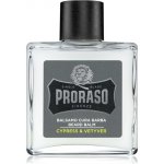 Proraso Cypress and Vetyver balzám na vousy 100 ml – Zboží Dáma