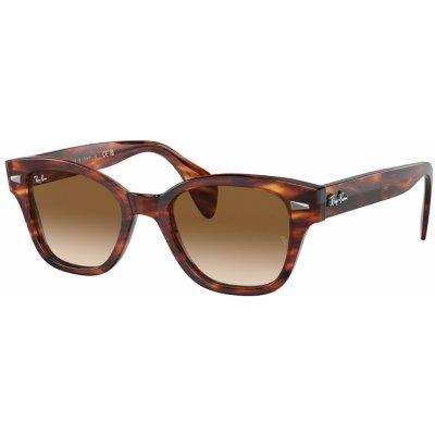 Ray-Ban RB0880S 954 51 52
