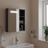 Koupelnový nábytek Nábytek XL Koupelnová zrcadlová skříňka s LED osvětlením šedá 45x13x52 cm
