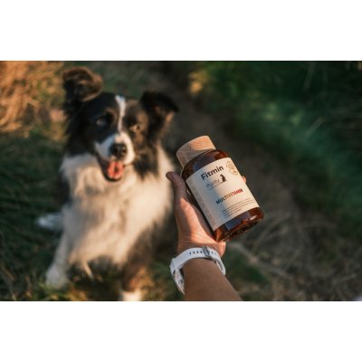 Fitmin Purity Multivitamin doplněk pro psy 200 g – Hledejceny.cz