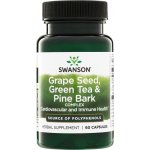Swanson Grape Seed Green Tea & Pine Bark 60 kapslí – Hledejceny.cz