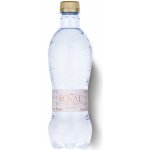 Royal Water DAILY ION WATER ionizovaná mikro clusterovaná voda s pH 8,5 500 ml – Zboží Mobilmania