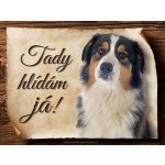 Sport hobby Cedulka Australský ovčák IV Tady hlídám já! CP1567 15 x 11 cm – Zboží Mobilmania