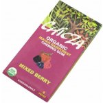 Chicza BIO Žvýkačka lesní ovoce 8 ks – Zboží Dáma