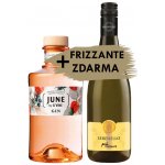 JUNE BY GVINE PEACH GIN 37,5% 0,7 l (holá) – Sleviste.cz