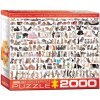 Puzzle EuroGraphics Svět koček 2000 dílků