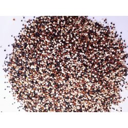Prodejnabylin Quinoa trikolora 250 g