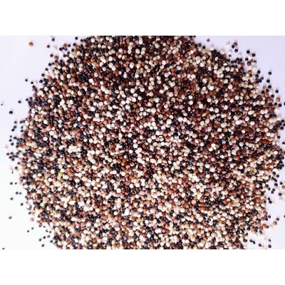 Prodejnabylin Quinoa trikolora 1 kg