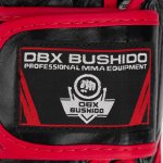 DBX Bushido BB4 – Sleviste.cz