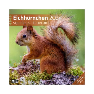 Eichhörnchen 30x30 2024