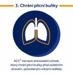 ACC POR 200MG CPS DUR 20 – Hledejceny.cz