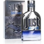 Roberto Cavalli Just Cavalli toaletní voda pánská 90 ml – Hledejceny.cz