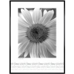 Tradag Rám černý s plastem 70x100 – Hledejceny.cz