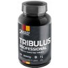 Ironmaxx Tribulus Professional 90 tablet