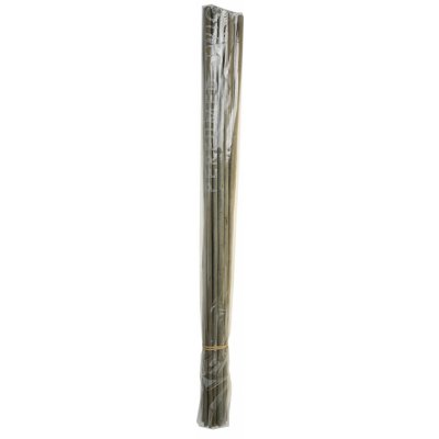 Orient H&L Vonné větvičky Eucalyptus 20 ks – Hledejceny.cz