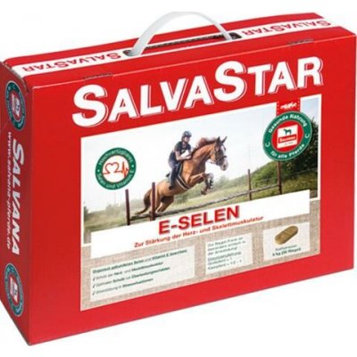 Salvastar E-Selen brikety pro koně 5 kg – Hledejceny.cz