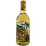 Casco Viejo JOVEN Tequila 38% 0,7 l (holá láhev) – Zboží Dáma