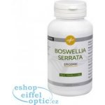 Epigemic Boswellia Serrata Epigemic 90 kapslí – Hledejceny.cz