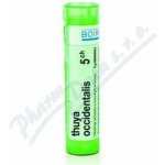 THUYA OCCIDENTALIS POR 5CH GRA 4G – Hledejceny.cz