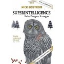 Superintelligence