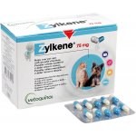 ZYLKENE 75 mg 100 tbl – Hledejceny.cz