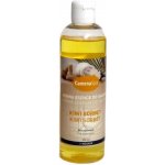 CamenaSpa Kiwi sorbet 1 l – Zboží Dáma