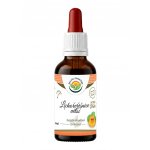 Salvia Paradise Lichořeřišnice větší AF tinktura 50 ml – Hledejceny.cz