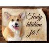 Autovýbava Sport hobby Cedulka Welsh Corgi Pembroke Tady hlídám já! CP1087 20 x 15 cm