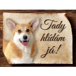 Sport hobby Cedulka Welsh Corgi Pembroke Tady hlídám já! 15 x 11 cm – Zboží Mobilmania