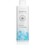 Regina šampon s mořskou solí 250 ml – Zboží Mobilmania
