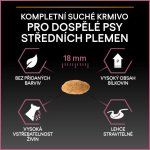 Pro Plan Medium Adult Sensitive Skin losos 16,5 kg – Hledejceny.cz