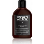 American crew Osvěžující pleťová voda po holení American crew 150 ml – Hledejceny.cz