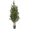 Květina Buxus stromek Red Day UV, 130cm