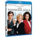 Podnikavá dívka BD – Hledejceny.cz