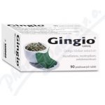 GINGIO POR 40MG TBL FLM 90 – Zboží Dáma