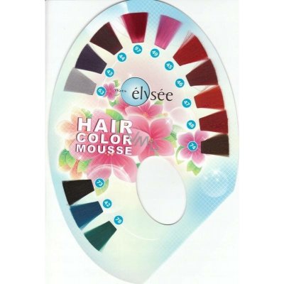 Elyseé barevné pěnové tužidlo 48 rubínová 75 ml – Zboží Mobilmania