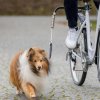 Výcvik psů Set pro cyklisty na uvázání psa ke kolu