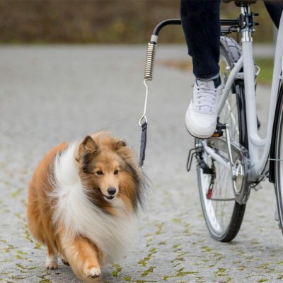 Set pro cyklisty na uvázání psa ke kolu – Hledejceny.cz