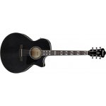 Ibanez AE170-TBK – Hledejceny.cz