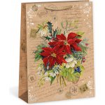 ARGUS Dárková papírová taška (31 x 41.5 cm) 08840065 – Zboží Živě