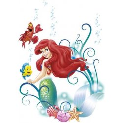 Komar 14013 Samolepky na zeď Disney Malá mořská víla Ariel rozměr 50 cm x 70 cm