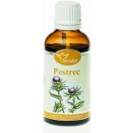 Serafin Pestrec tinktura z pupenů 50 ml – Hledejceny.cz