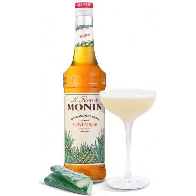 Monin Agáve 0,7 l – Zboží Dáma