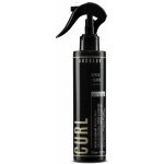 Absoluk Curl Active & Restart Protein Spray 175 ml – Hledejceny.cz