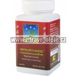 TCM Herbs Nápoj pěti hvězd z Gynostemmy pětilisté 100 g – Hledejceny.cz